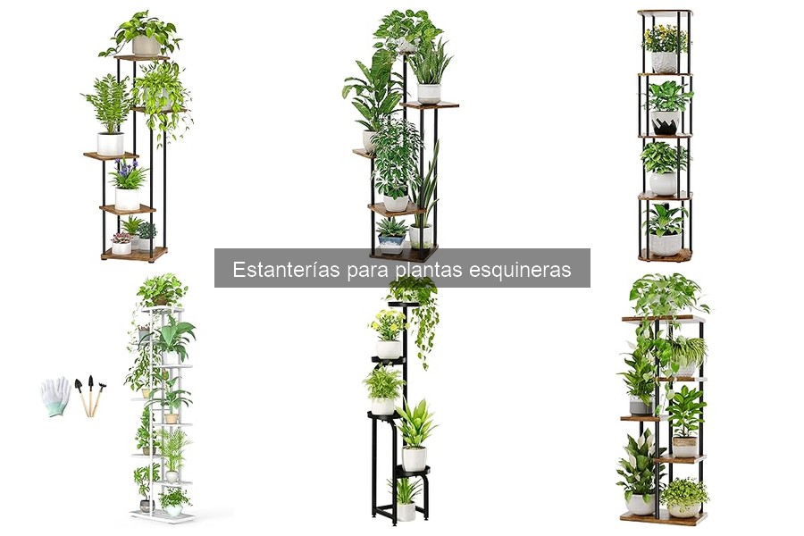 Tamaños Estándar de Estanterías para Plantas Esquineras