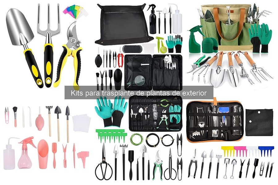 Tendencias 2023 en Kits de Trasplante para Plantas