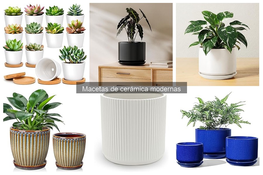 Tendencias en Macetas de Cerámica Modernas para 2023