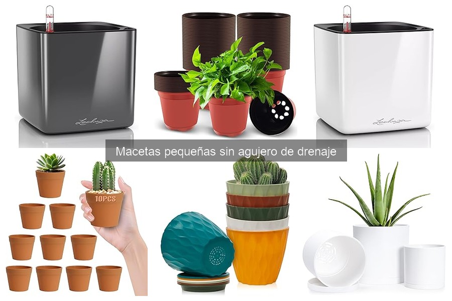 Testimonios reales sobre macetas pequeñas sin drenaje