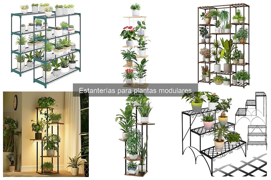 Tipos de estanterías modulares para plantas: Guía completa