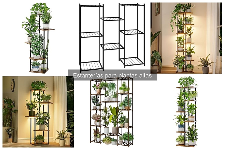 Tipos de estanterías para plantas altas: guía completa