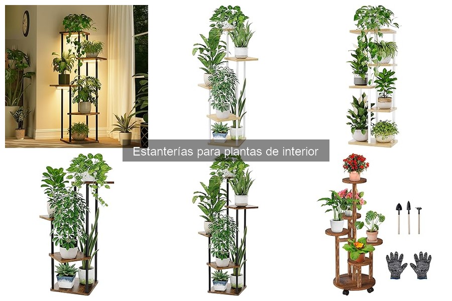 Tipos de estanterías para plantas de interior: guía completa