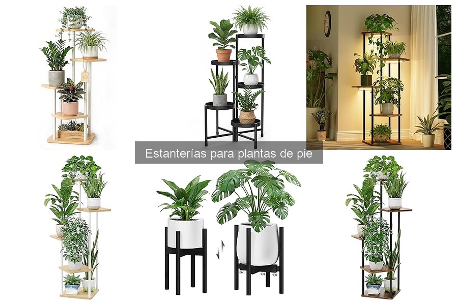 Tipos de estanterías para plantas de pie: estilos y usos