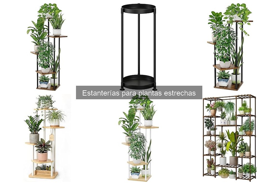 Tipos de estanterías para plantas estrechas en interiores y exteriores