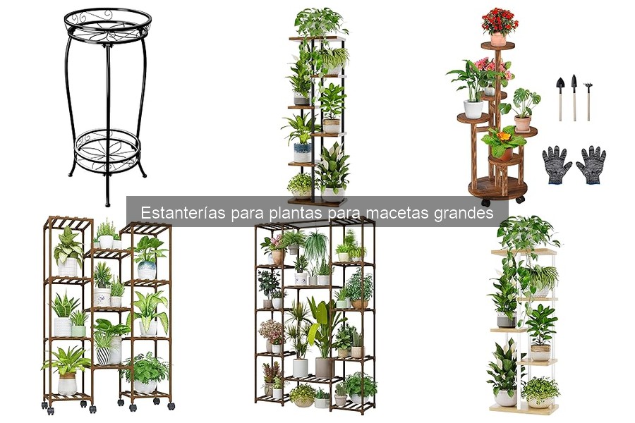 Tipos de estanterías para plantas: guías y opciones destacadas