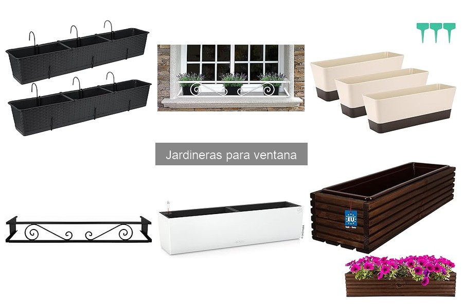 Tipos de Jardineras para Ventana: Opciones y Ventajas
