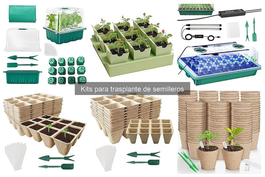 Tipos de Kits para Trasplante de Semilleros: Guía Completa