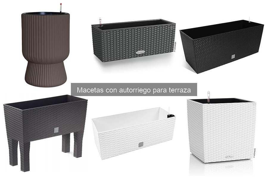 Tipos de macetas con autorriego para terraza y sus características