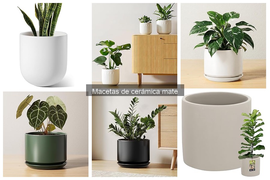 Tipos de Macetas de Cerámica Mate: Características y Usos