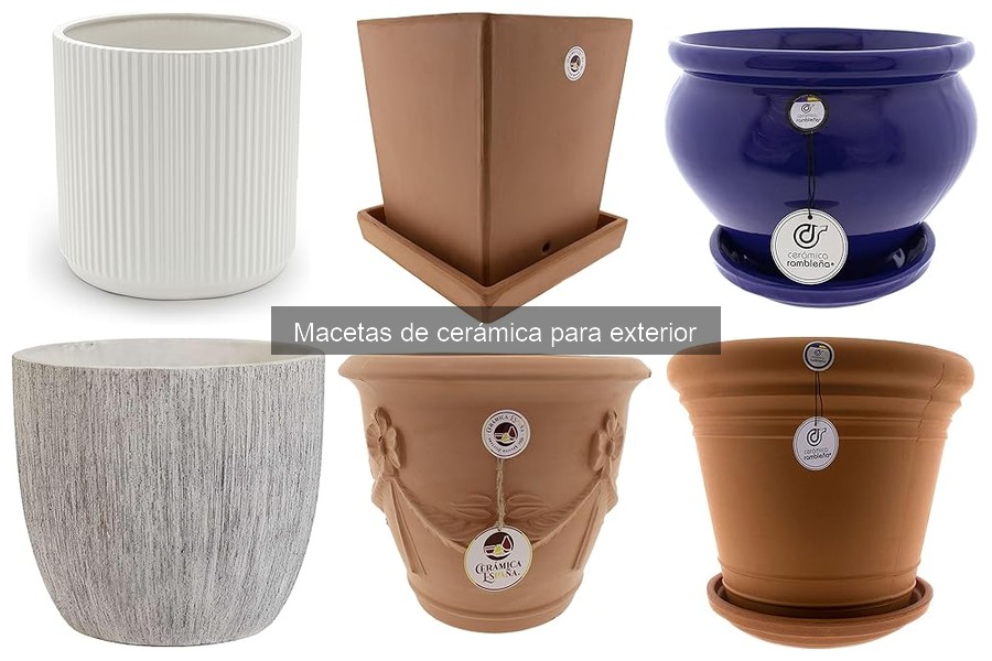 Tipos de macetas de cerámica para exterior: guía completa