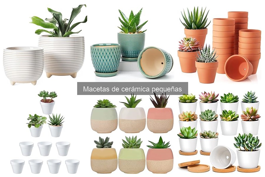 Tipos de macetas de cerámica pequeñas para decorar tu hogar