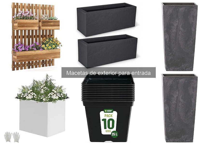 Tipos de macetas de exterior ideales para entradas