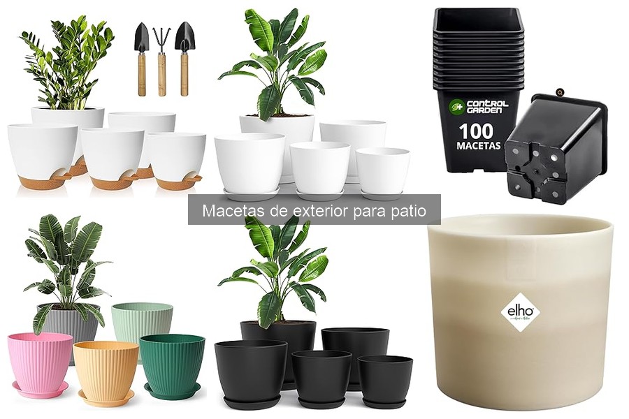 Tipos de macetas de exterior para patio: Guía completa