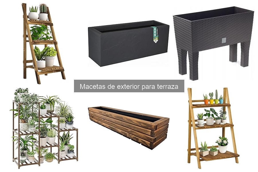 Tipos de macetas de exterior para terraza: Guía completa