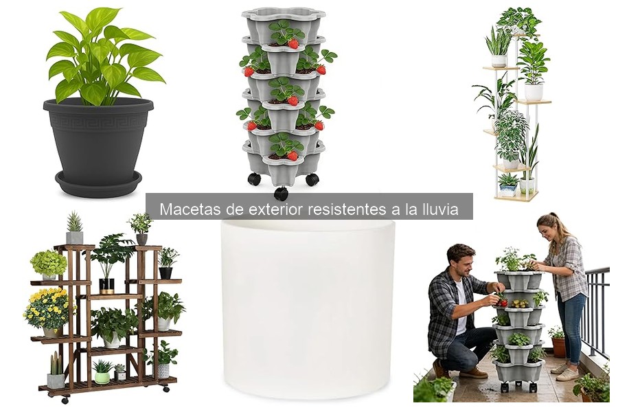 Tipos de Macetas de Exterior Resistentes a la Lluvia