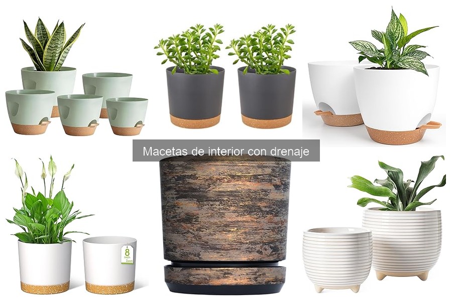 Tipos de Macetas de Interior con Drenaje para Tus Plantas