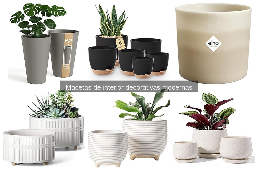 ** Tipos de Macetas de Interior Decorativas Modernas
