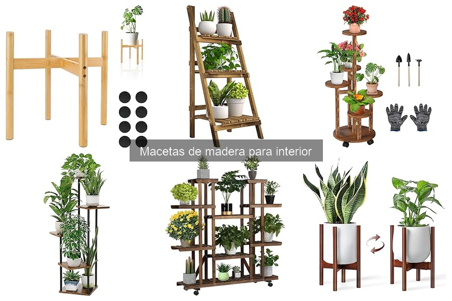 Tipos de Macetas de Madera para Interior: Guía Completa