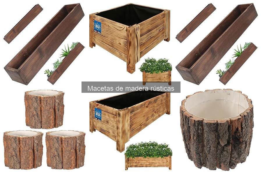 Tipos de Macetas de Madera Rústicas: Características y Usos