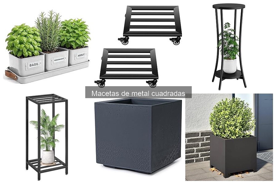 Tipos de macetas de metal cuadradas para tus plantas