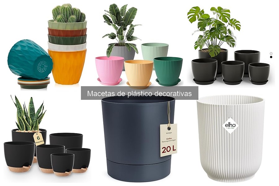 Tipos de macetas de plástico decorativas para tus plantas