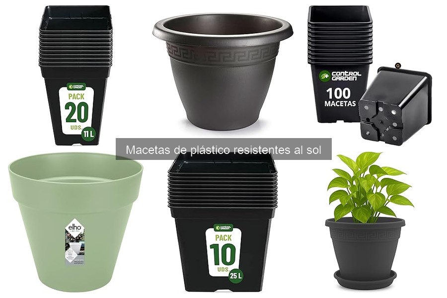 Tipos de macetas de plástico para jardines soleados