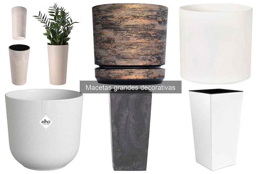 Tipos de macetas grandes decorativas: cerámica, plástico y más