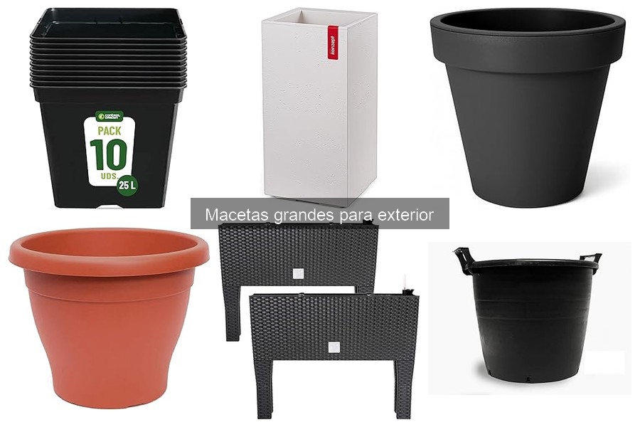 Tipos de Macetas Grandes para Exterior: Guía y Opciones