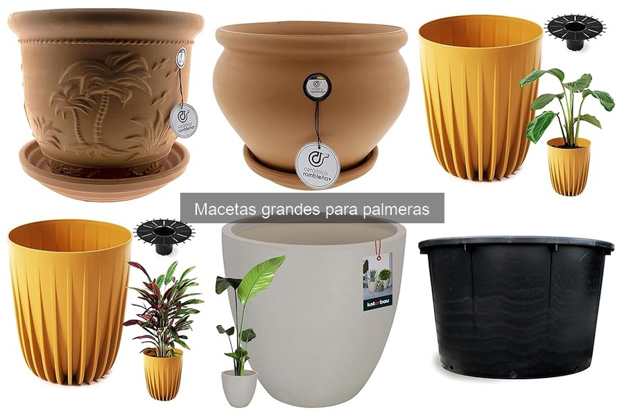 Tipos de macetas grandes para palmeras: guía de selección