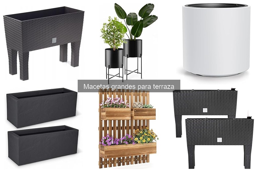 Tipos de macetas grandes para terraza: Guía completa