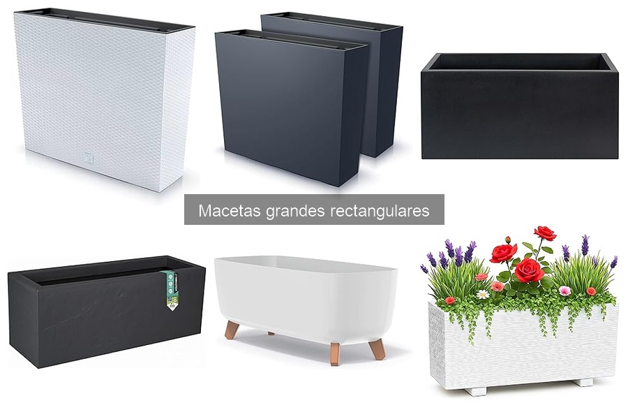 Tipos de macetas grandes rectangulares para el hogar