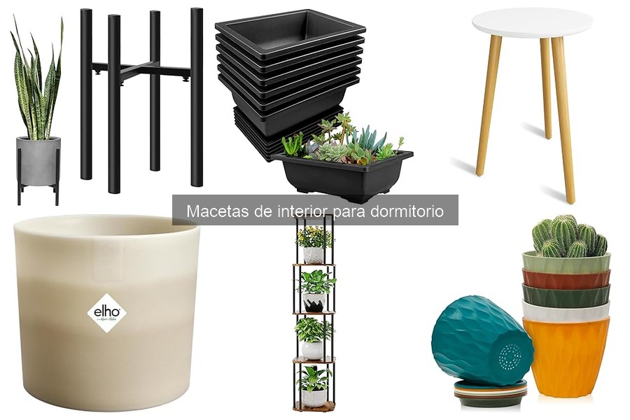 Tipos de macetas ideales para dormitorios: guía completa