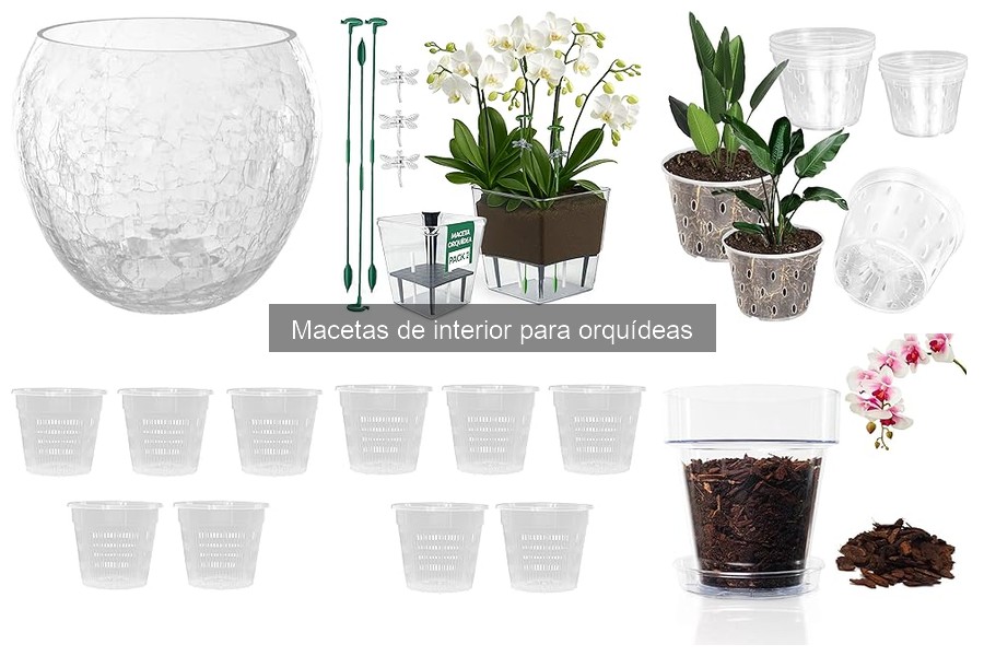 Tipos de macetas ideales para el crecimiento de orquídeas