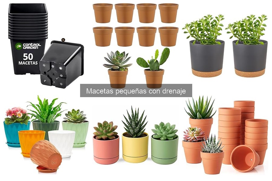 Tipos de macetas pequeñas con drenaje: Guía para elegir