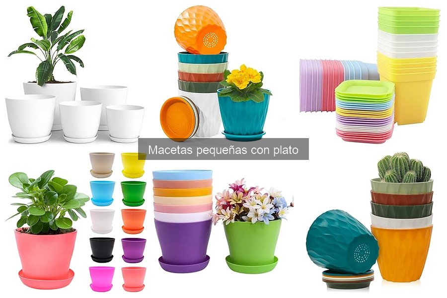 Tipos de Macetas Pequeñas con Plato para Decorar tu Hogar