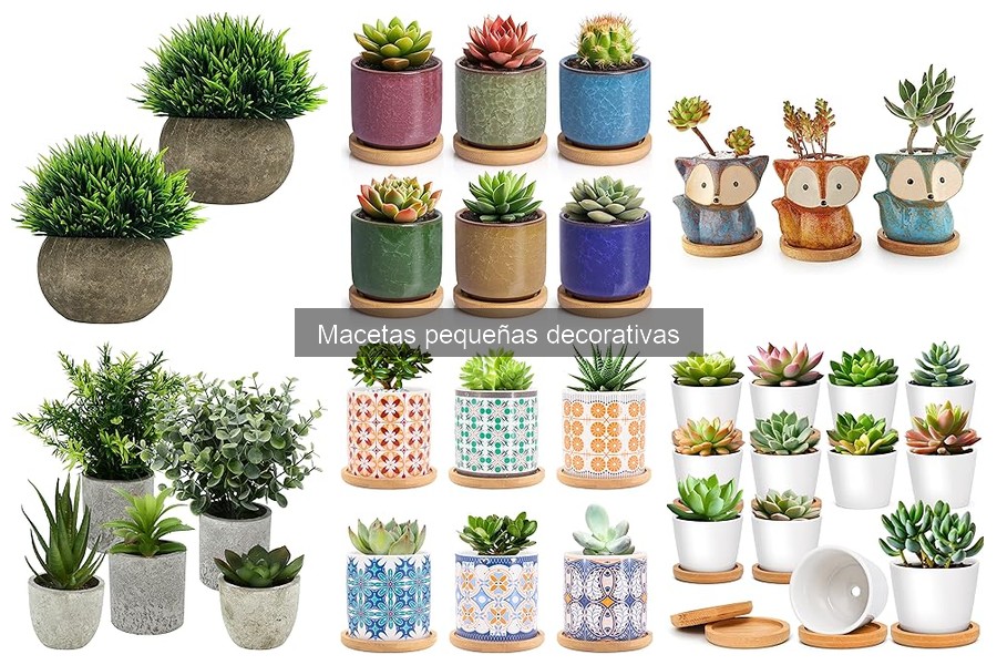 Tipos de macetas pequeñas decorativas para tu hogar