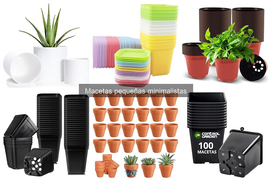 Tipos de Macetas Pequeñas Minimalistas para Decorar