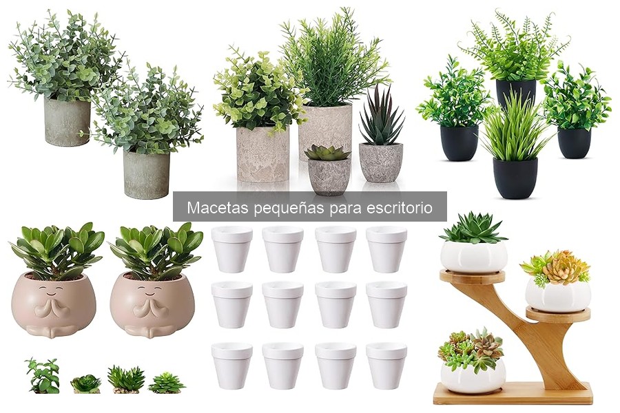 Tipos de macetas pequeñas para escritorio: ¡Descubre las mejores!