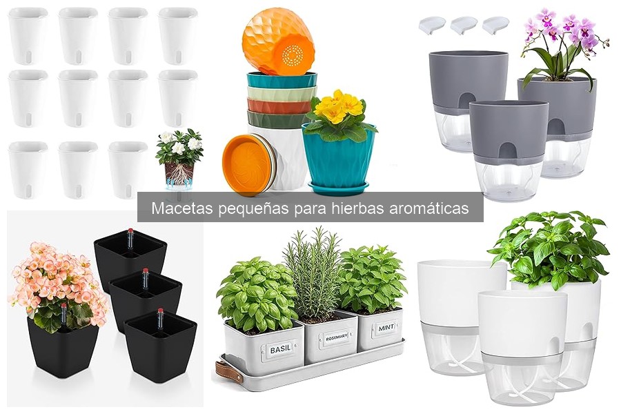 Tipos de macetas pequeñas para hierbas aromáticas