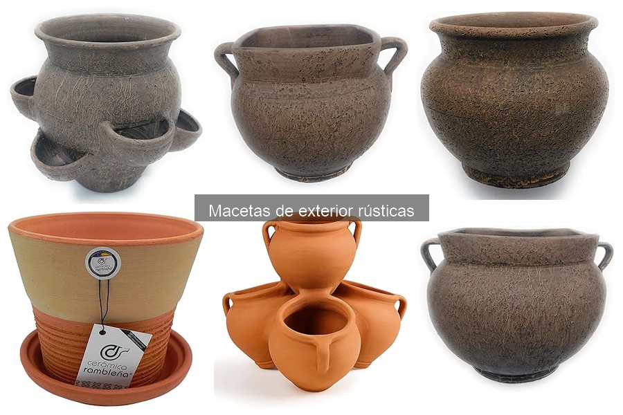 Tipos de macetas rústicas para exterior: Guía completa
