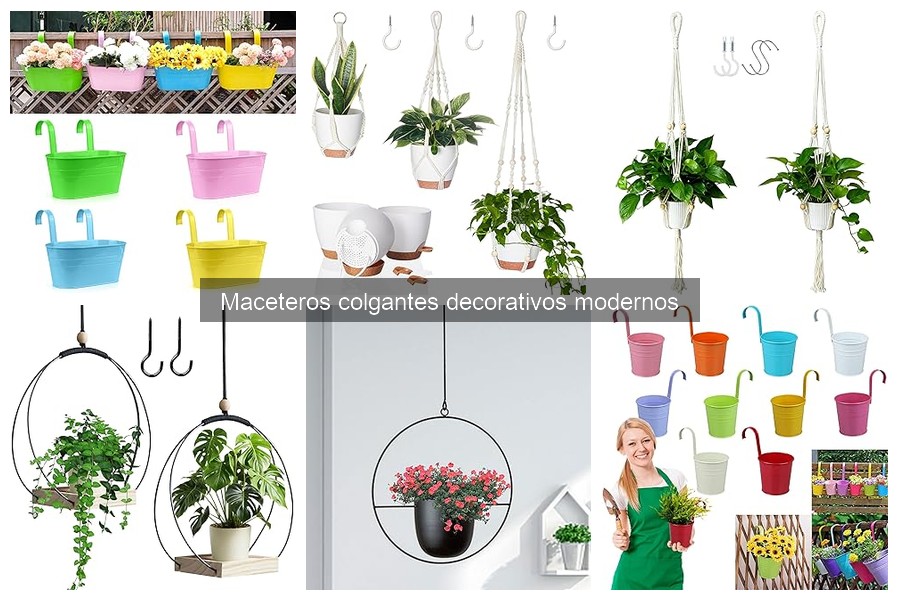 Tipos de maceteros colgantes decorativos modernos