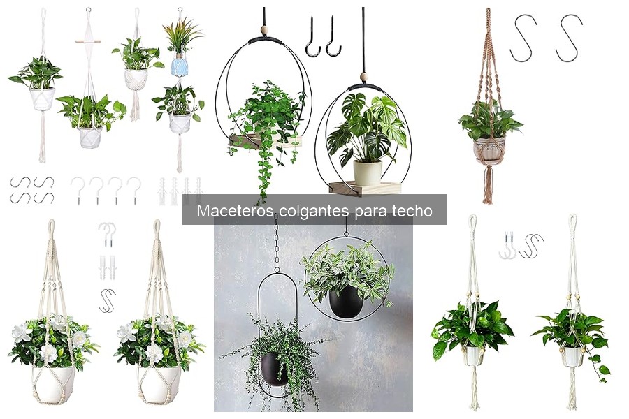 Tipos de maceteros colgantes para decorar tu espacio