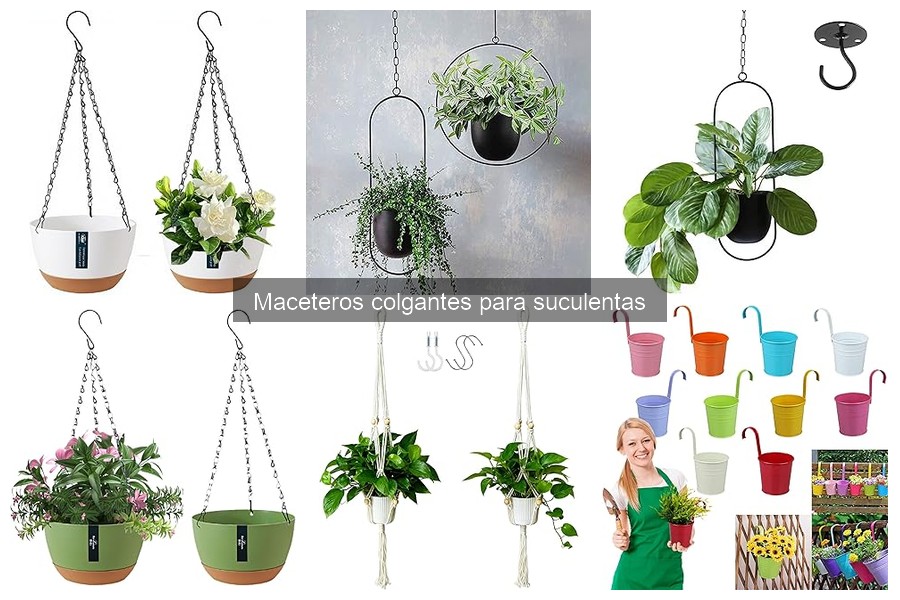 Tipos de maceteros colgantes para suculentas | Guía completa