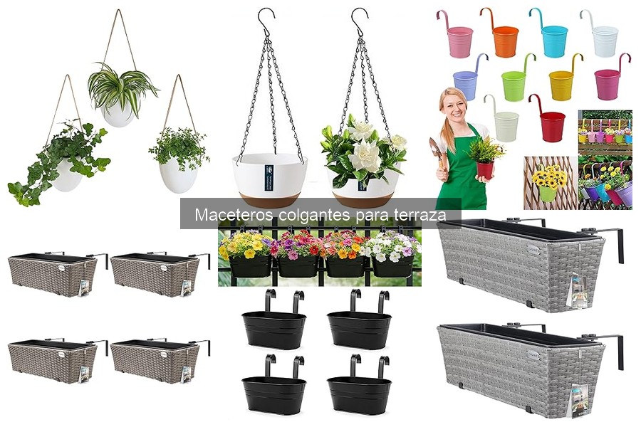 Tipos de maceteros colgantes para terraza: Guía completa