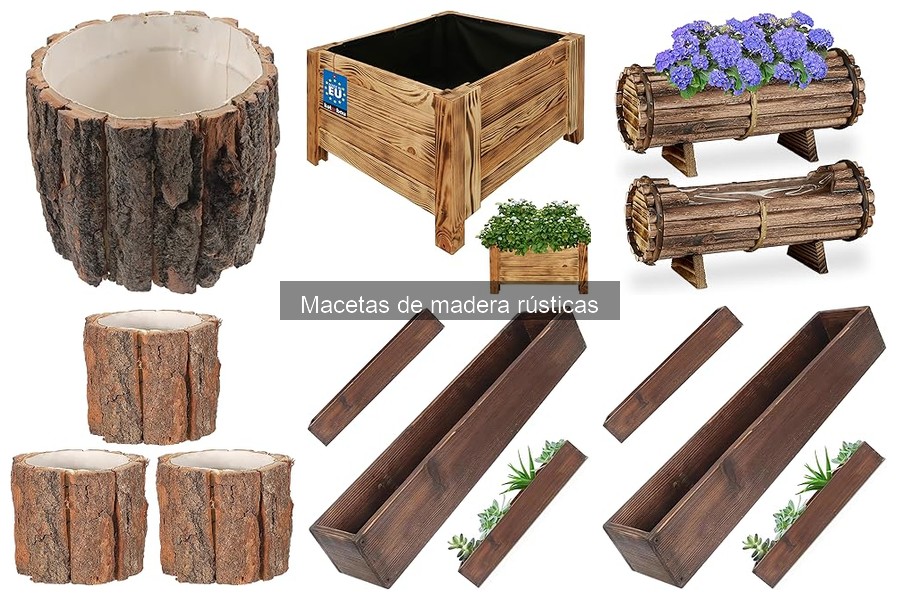 Tipos de madera para macetas rústicas: Guía completa