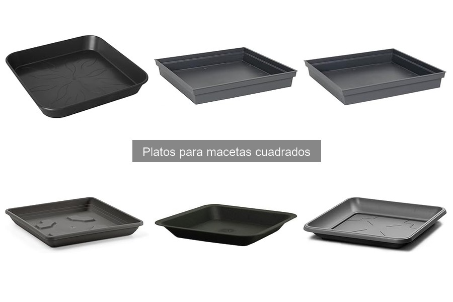 Tipos de platos para macetas cuadrados: materiales y estilos