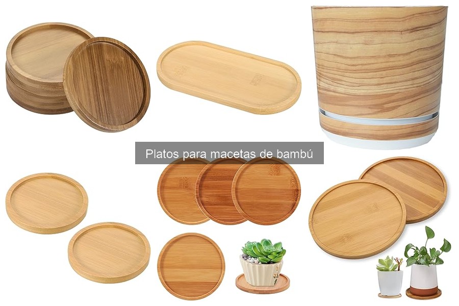** Tipos de Platos para Macetas de Bambú: Guía Completa
