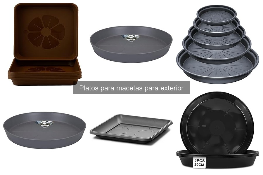 Tipos de platos para macetas de exterior: guía completa