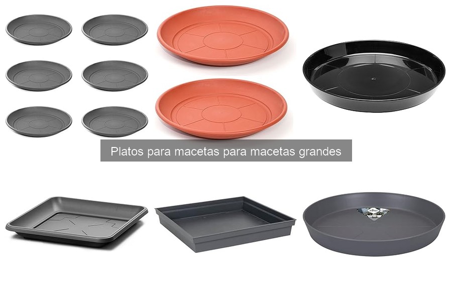 Tipos de platos para macetas grandes: materiales y características